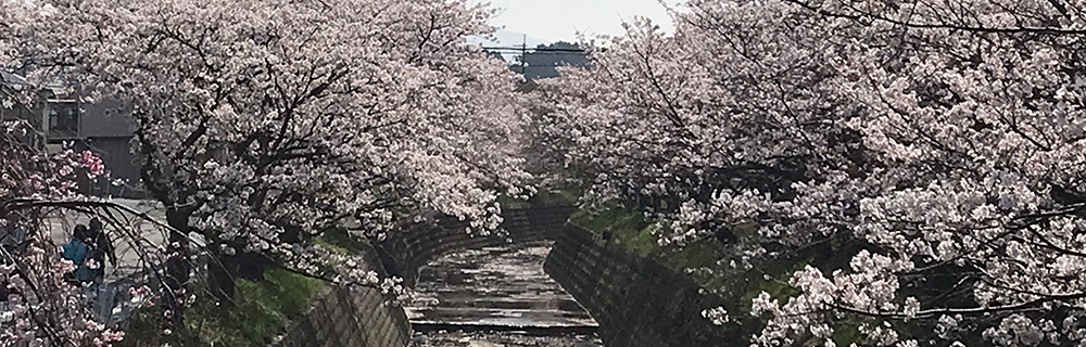 瀬田北学区とは